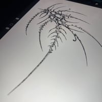 Image 1 of sketch 48