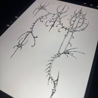 Image 1 of sketch 50