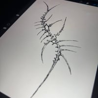 Image 1 of sketch 59