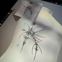 Image 2 of sketch 66