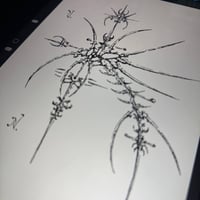 Image 1 of sketch 66