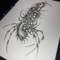 Image 1 of sketch 68