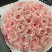 Image 5 of KATHERINE ROSE