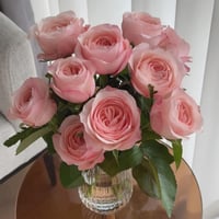 Image 8 of KATHERINE ROSE