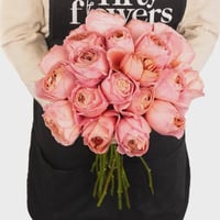 Image 10 of ROMANTIC ANTIKE ROSE