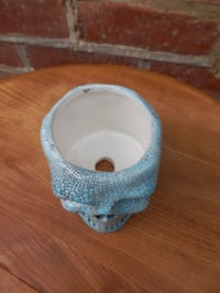 Image 5 of Turquoise Skull Plant Pot