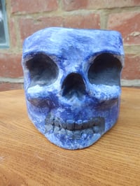 Image 2 of Cobalt Skull Plant Pot