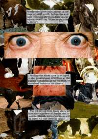 PRINT - THE DAYS OF DARKNESS