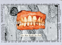 PRINT - THE MAN BESIDE THE POOL