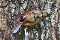 Image 1 of Custom Airbrushed 1.5 Squarebill Crankbait 1024