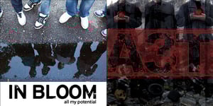 Image of All My Potential EP & A Tribute to Alkaline Trio PACKAGE!!!