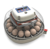 Chicken Incubator Set Up
