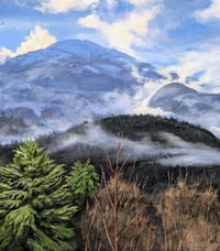 Image 3 of The Joy Of The Winter Sun