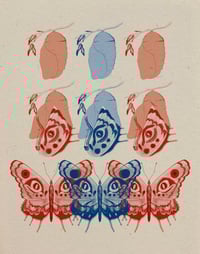 redo/rebirth (chrysalis)