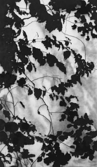 Image 3 of March: WORKSHOP-CHARCOAL DRAWING 