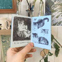 Image 2 of my cat totoro zine