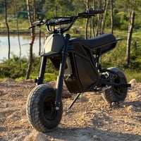 Image 4 of Rizzler Full Titanium Bolt Kit