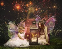 Image 5 of Fairy Mini's