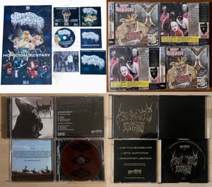 Image of Official Disconformity EP/Gut Explosion Album/Sanguisugabogg Album/Regurgitated Entrails Demo CDs!!!