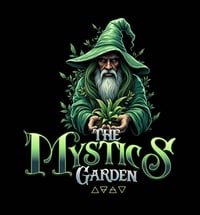 Image 2 of Bergamot Beebalm🐝 (Mondara fistulosa) 1 L Container 