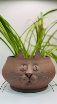 Image 1 of Evelyn- Pothead