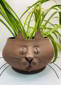 Image 2 of Evelyn- Pothead