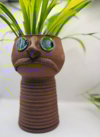 Image 1 of Kin- Pothead