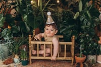 Image 8 of Vintage Woodland Cradle in 2 colors