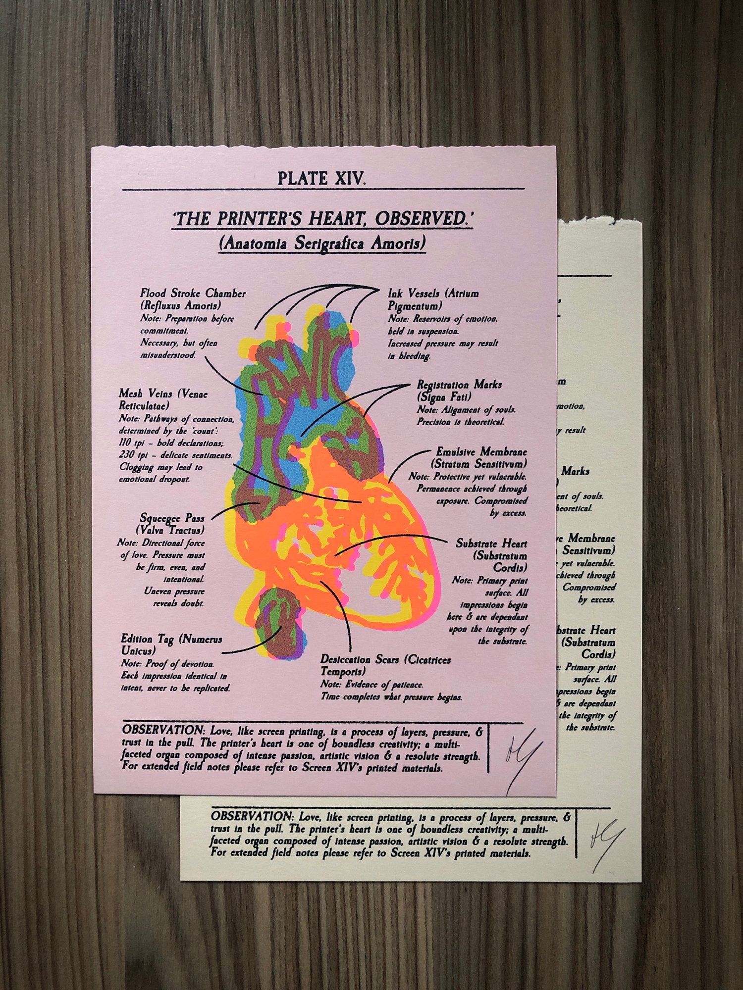 'The Printer's Heart, Observed' A5 Screenprint [KEEP ONE / GIFT ONE OFFER]