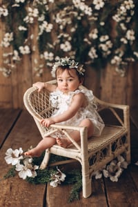 Image 13 of Dune Bench 