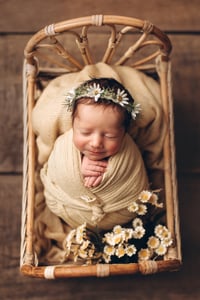 Image 4 of Village bed