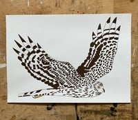 Image 1 of Hen Harrier  Print