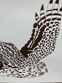 Image 2 of Hen Harrier  Print