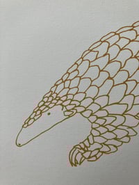 Image 2 of Pangolin Print