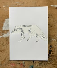 Image 1 of Arctic Fox Print
