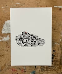 Image 1 of Adder Print