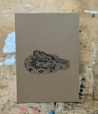Image 2 of Adder Print
