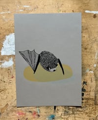 Image 1 of Pipistrelle Bat Print
