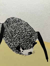 Image 2 of Pipistrelle Bat Print