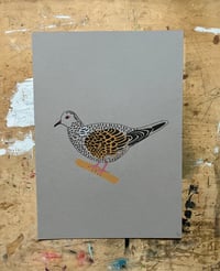 Image 1 of Turtle Dove Print