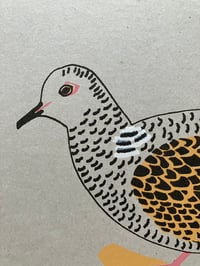 Image 2 of Turtle Dove Print