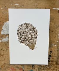 Image 1 of Hedgehog  Print
