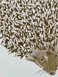 Image 2 of Hedgehog  Print