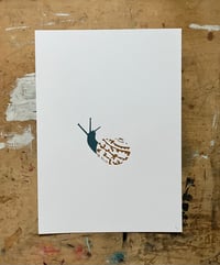 Image 1 of Garden Snail Print