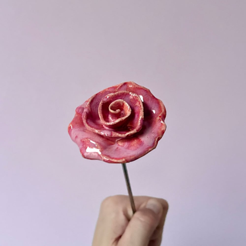 Image of Pink Giftboxed Rose 