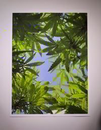 Image 1 of As Above - Framed