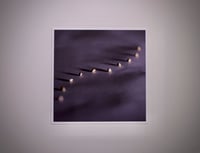 Image 1 of Single File - Framed