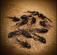 Image 1 of Black Bead Head Nymph 