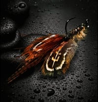 Image 1 of  Lord Lure Craw