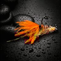 Hummer Craw 
